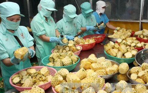 ปี ๒๐๑๕ เวียดนามจะขยายการส่งเสริมการค้าและแก้ไขปัญหาอุปสรรค์ให้แก่ผู้ประกอบการ